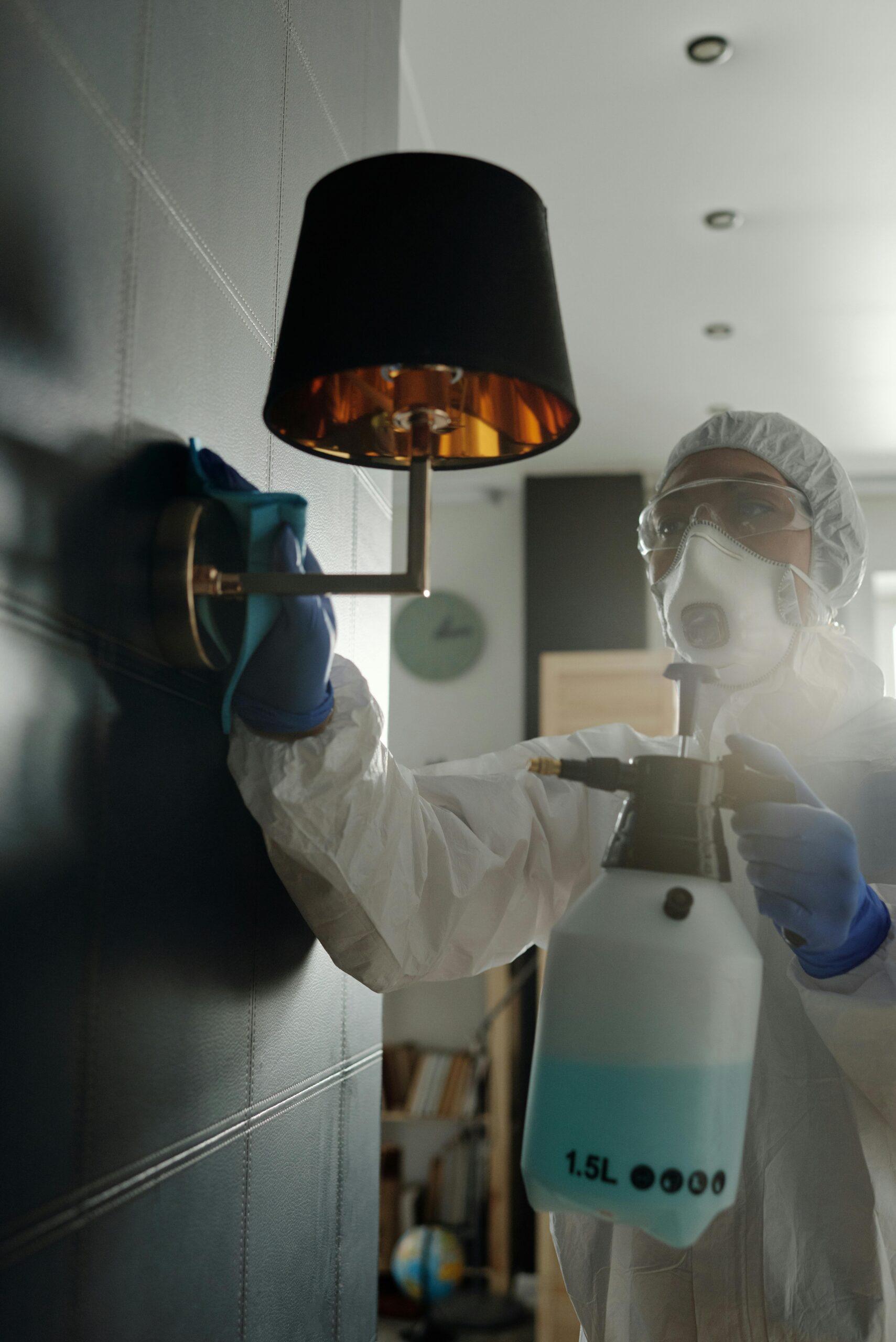 Professional deep clean service Rockford home