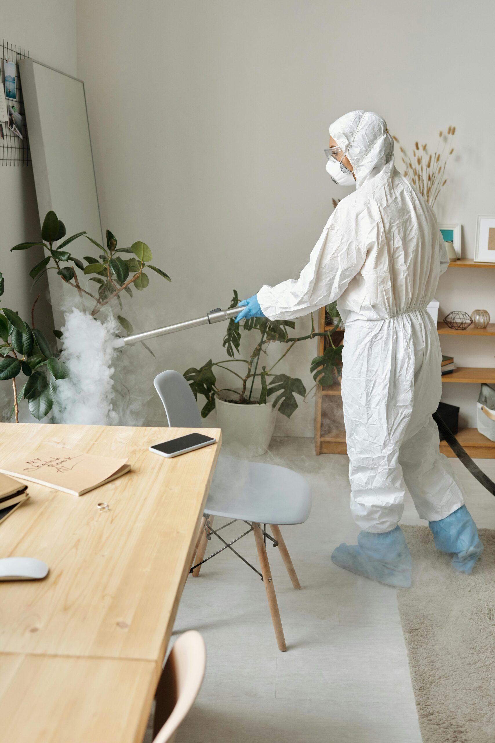 Professional deep clean service Rockford home