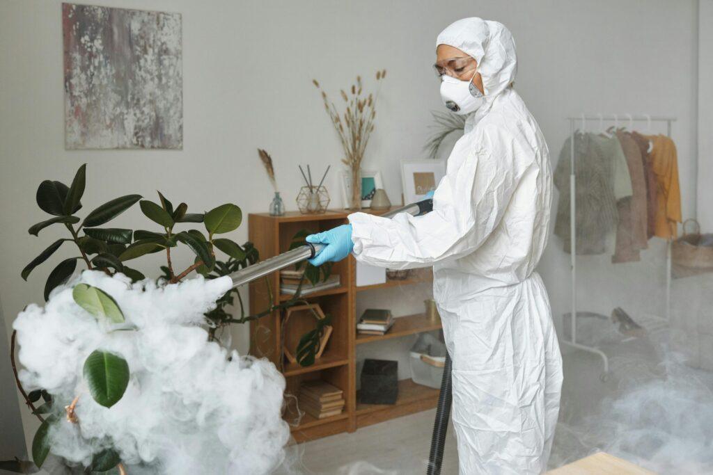 Cleaning Services Machesney Park